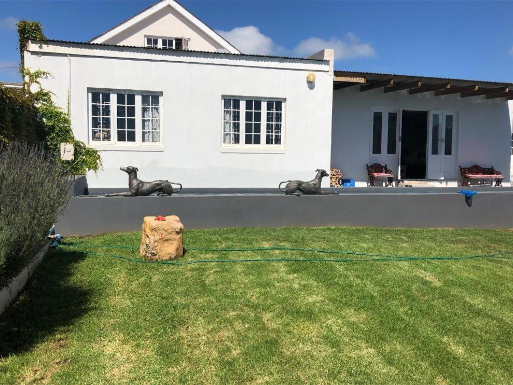 De La Fontaine Guest Cottage And Pool View Luxury Suite Plettenberg Bay Ngoại thất bức ảnh